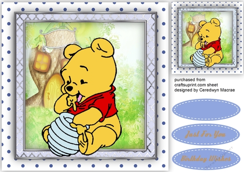 Baby Poo and The honey Pot 
