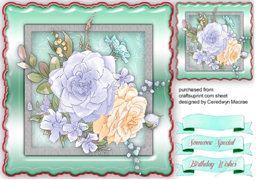 Beautiful Blue and Peach Roses