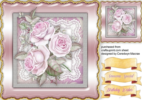 Beautiful Summer Roses