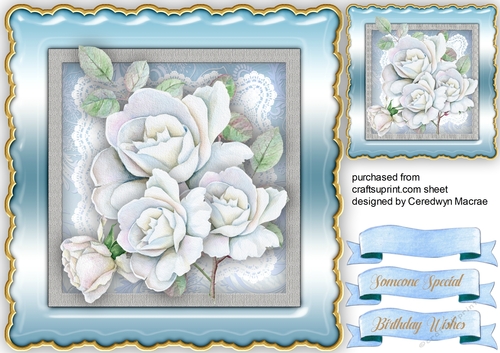 Beautiful White Summer Roses