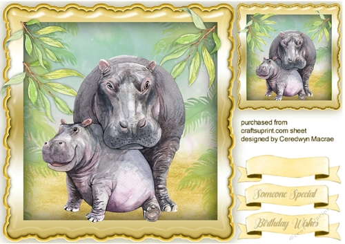 Mom and Baby Hippo