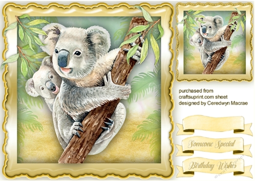 Mom and Baby Koala