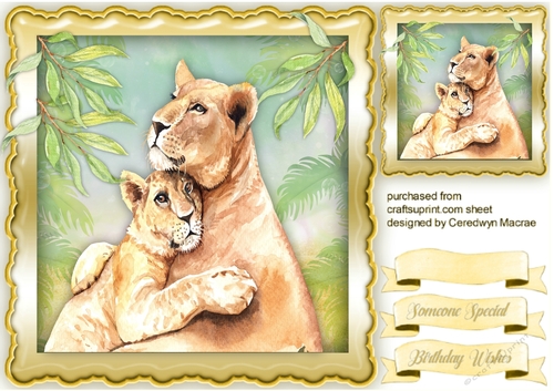 Mom and Baby Lion