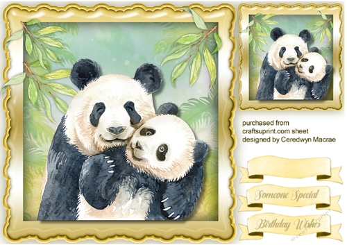 Mom and Baby Panda