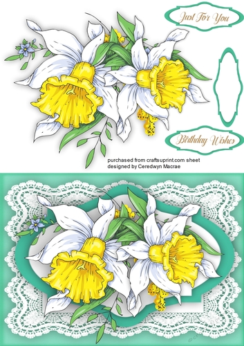 Daffodils on French Lace 