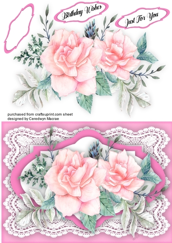 Pink Roses on French Lace 