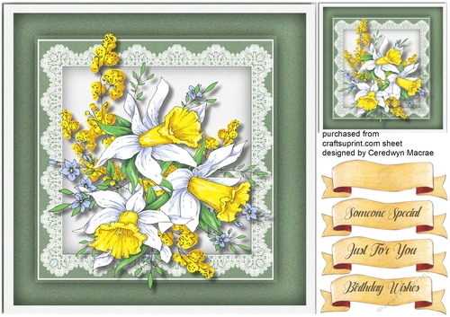 Beautiful  Daffodils on Lace 