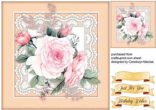 Beautiful  Pink Roses  on Lace 