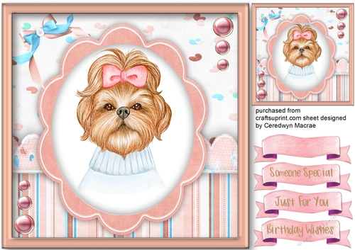 Beautiful Shihtzu in a Pink Bow 