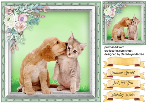 A Kiss For Best Buddies
