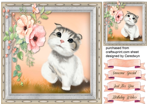 Kitty In the Flowers