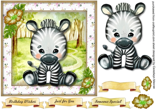 Cute Safari Zebra