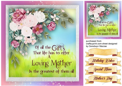 A Mothers Gift