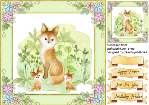 Beautiful Fox Family 