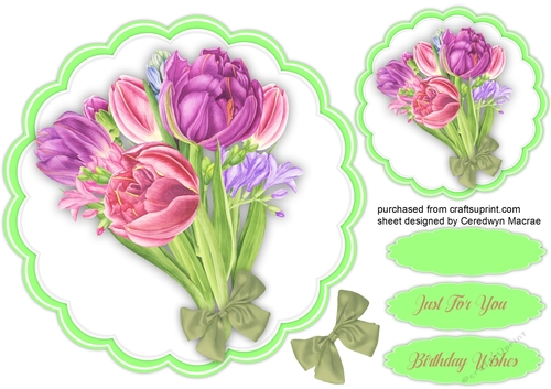 Beautifu Tulips and Bow
