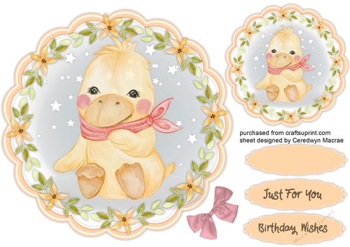 Cute Duck in a Flower Frame
