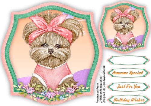 Cute Dog , With Ribbon Band