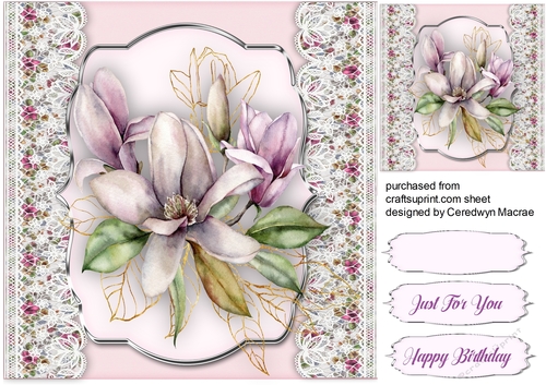 Beautiful Lilac Magnolias