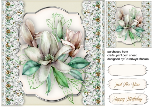 Beautiful White Magnolias