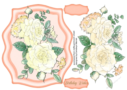 Beautiful Cream Boho Roses 