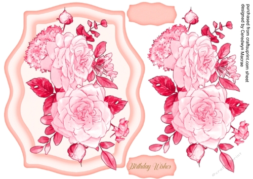 Beautiful Deep Pnk Boho Roses 