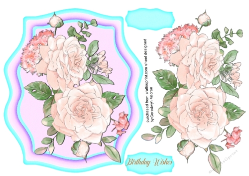 Beautiful  Pnk Boho Roses 