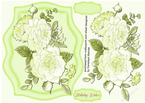 Beautiful  Sage Boho Roses 