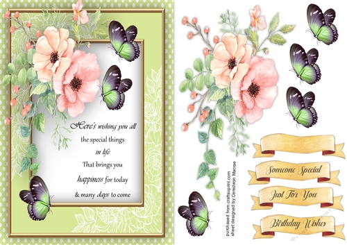A5 Beautiful Pink Haze Roses with Verse