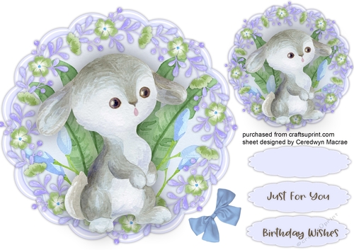 Beautiful Rabbit in a Flower Frame 