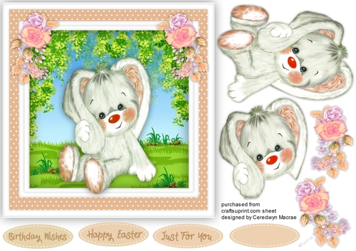 Beautiful Floppy Ears, Pale Pink