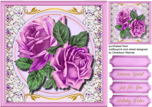 Beautiful lilac Desire Roses 