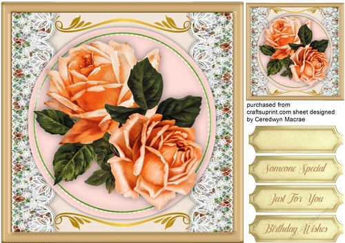 Beautiful Apricot Desire Roses 