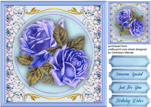 Beautiful  Blue Desire Roses 