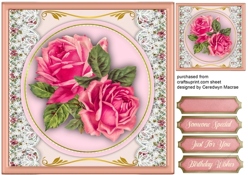 Beautiful  Pink Desire Roses 