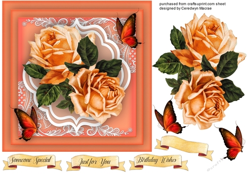 Beautiful Orange Roses and Corner Lace