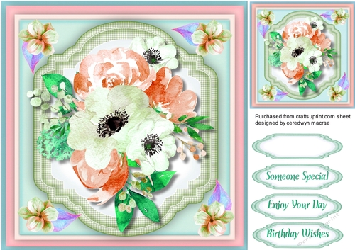 Beautiful Anemomies and Roses 