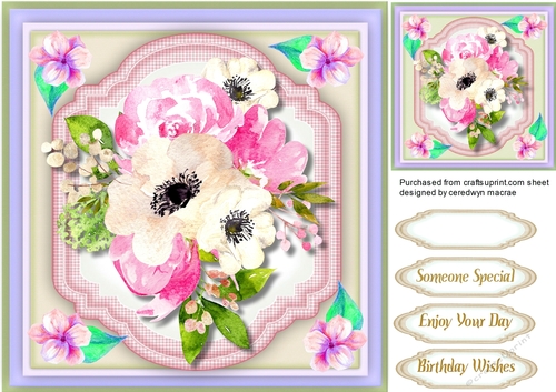 Beautiful Anemomies and Pink Roses 