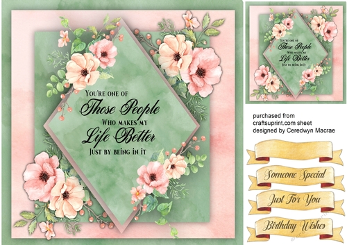 Beautiful Blush Roses and quote, Friend