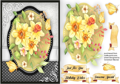 Beautiful A5 ,Daffodil Bliss 