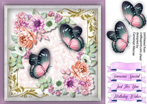 Beautiful Blossom and Butterflys 