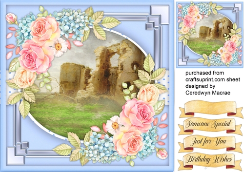 Beaurtiful   Roses and Ruins