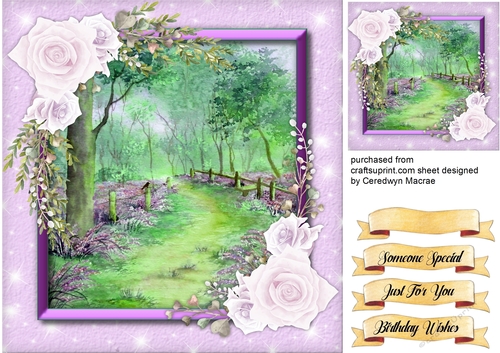 Beautiful Bluebell Woods and Roses