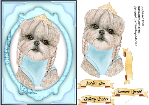  A5 ,Cute Pooch in Pigtails 