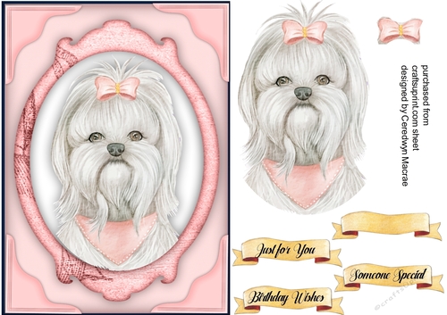  A5 ,Cute Pooch with  Pink Bow