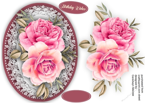Blush Pink Roses 