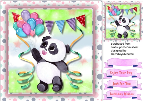Pandas Birthday Wishes