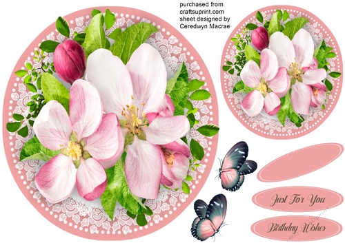 Beautiful Apple Blosson on Lace 