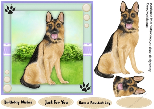 Beautiful German Shepherd in the Garden