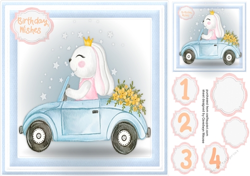 Princess Rabbits Sports Car