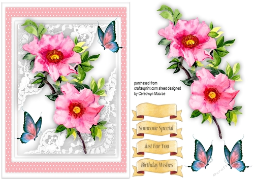 A5,Beautiful Pink Hibiscus and Butterflys 